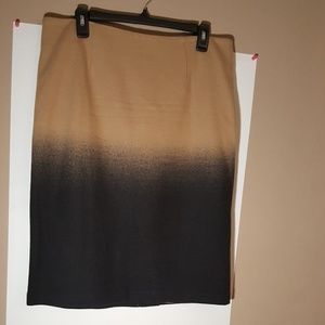 Unique... Ombre Wool Skirt
